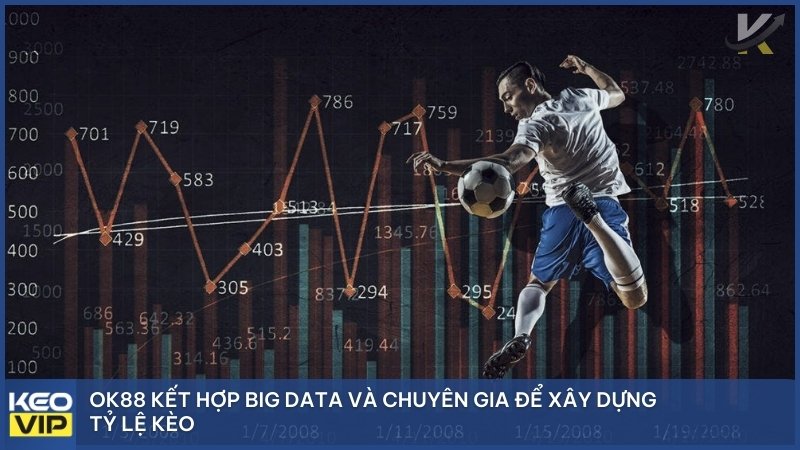OK88 kết hợp Big Data và chuyên gia để xây dựng tỷ lệ kèo.